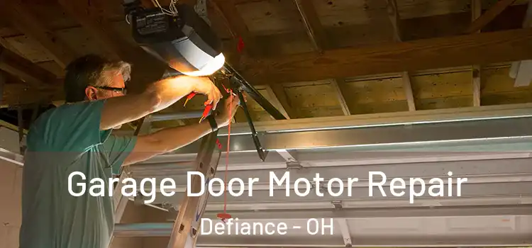  Garage Door Motor Repair Defiance - OH