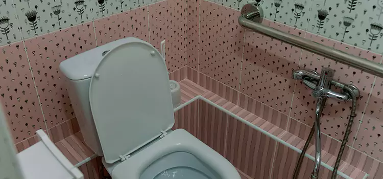 Meeting Diverse Needs With Accessible Restroom Solutions in Defiance, OH